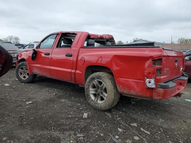 2011 Dodge Dakota SLT