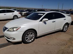 Salvage cars for sale at Albuquerque, NM auction: 2012 Lexus ES 350