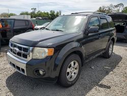 Ford salvage cars for sale: 2010 Ford Escape Limited