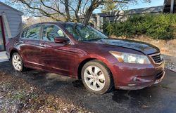 Salvage cars for sale from Copart York Haven, PA: 2010 Honda Accord EXL