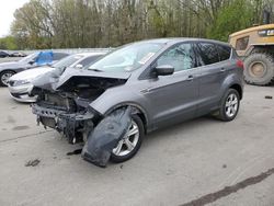 Ford Escape SE Vehiculos salvage en venta: 2013 Ford Escape SE