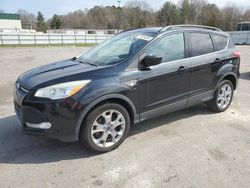 Salvage cars for sale from Copart Assonet, MA: 2014 Ford Escape SE