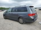 2010 Honda Odyssey EXL