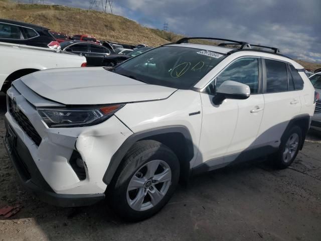 2019 Toyota Rav4 XLE