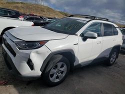 Toyota rav4 xle salvage cars for sale: 2019 Toyota Rav4 XLE