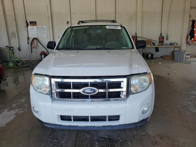 2009 Ford Escape XLT