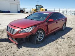Salvage cars for sale from Copart Farr West, UT: 2015 Hyundai Sonata SE