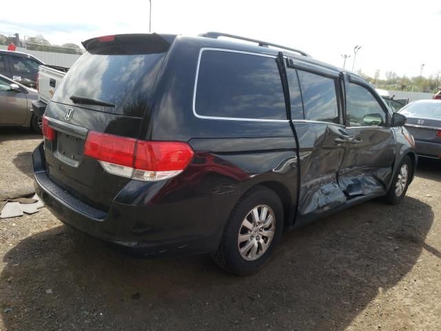 2010 Honda Odyssey EXL