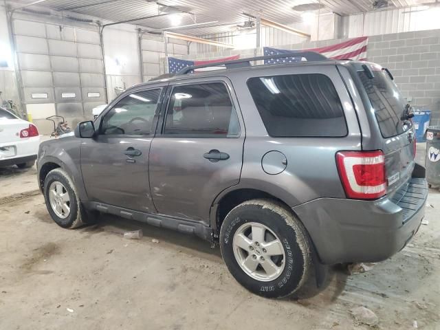 2011 Ford Escape XLT