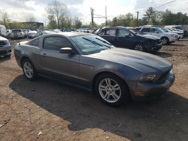 2010 Ford Mustang