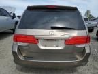 2008 Honda Odyssey EXL