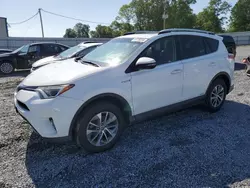 Salvage cars for sale from Copart Gastonia, NC: 2016 Toyota Rav4 HV XLE
