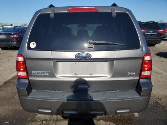 2010 Ford Escape XLT