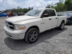 Salvage cars for sale at Riverview, FL auction: 2009 Dodge RAM 1500