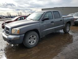 Salvage cars for sale from Copart Rocky View County, AB: 2005 Dodge Dakota Quad SLT