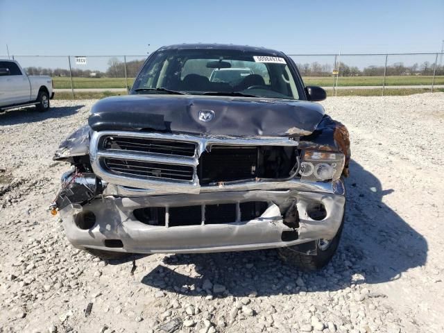 2003 Dodge Dakota Quad SLT