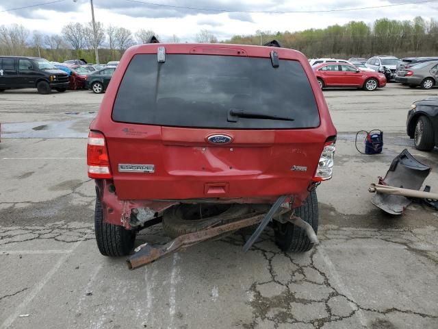 2010 Ford Escape XLT