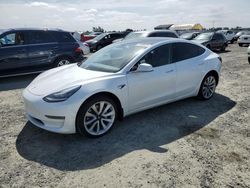 Salvage cars for sale from Copart Antelope, CA: 2019 Tesla Model 3