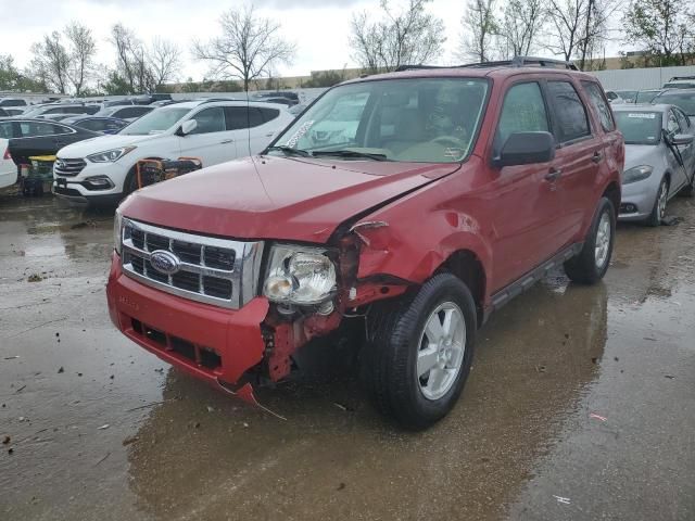 2010 Ford Escape XLT