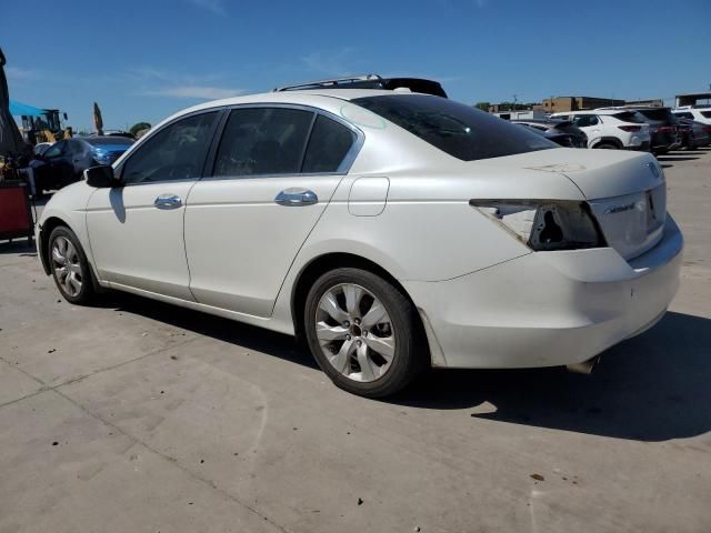 2008 Honda Accord EXL