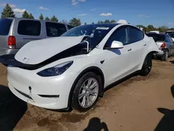 Salvage cars for sale at Elgin, IL auction: 2024 Tesla Model Y