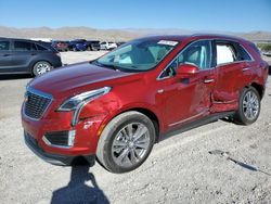 Salvage cars for sale at North Las Vegas, NV auction: 2024 Cadillac XT5 Premium Luxury