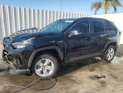 Salvage cars for sale from Copart Riverview, FL: 2019 Toyota Rav4 LE
