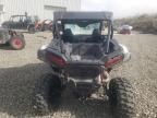 2024 Polaris RZR XP 1000 Sport