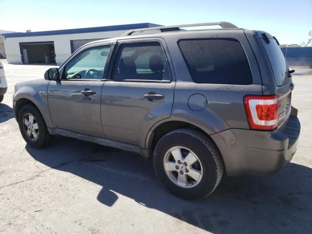 2011 Ford Escape XLT