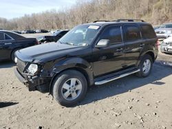 2010 Ford Escape XLT for sale in Marlboro, NY
