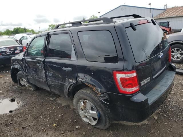 2008 Ford Escape XLT