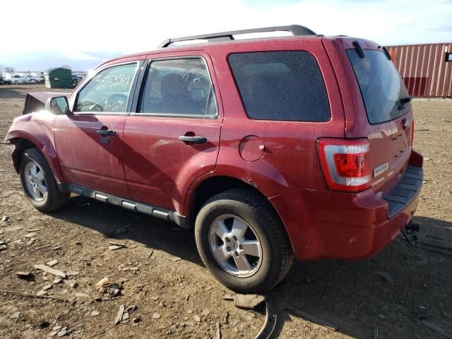 2011 Ford Escape XLT