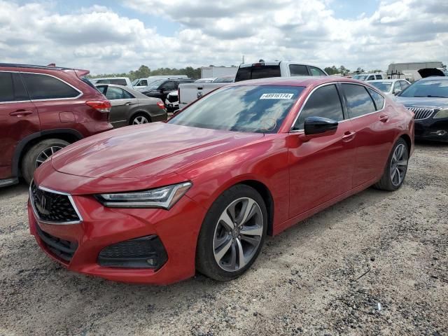 2021 Acura TLX Advance