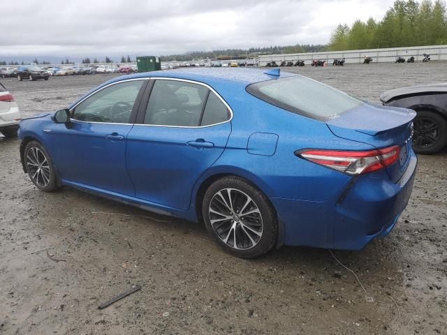 2019 Toyota Camry Hybrid