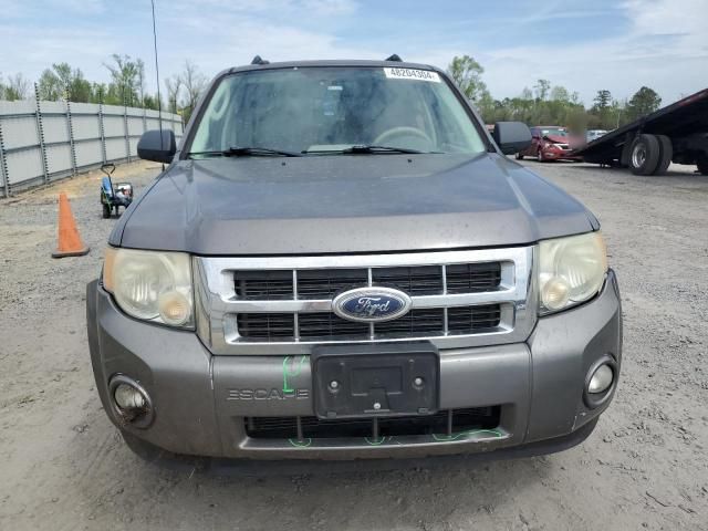 2009 Ford Escape XLT