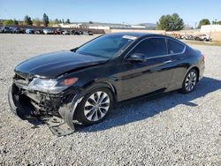 Honda Accord EXL salvage cars for sale: 2013 Honda Accord EXL