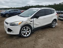 Ford Escape Titanium salvage cars for sale: 2016 Ford Escape Titanium