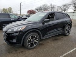 Salvage cars for sale at Moraine, OH auction: 2021 Ford Escape SE