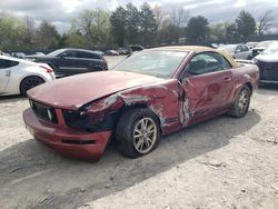 Ford salvage cars for sale: 2005 Ford Mustang