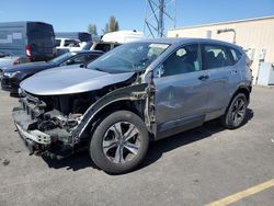 Salvage cars for sale from Copart Hayward, CA: 2019 Honda CR-V LX