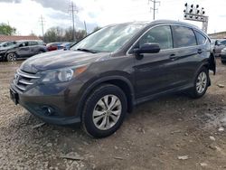 Honda CR-V EXL salvage cars for sale: 2013 Honda CR-V EXL