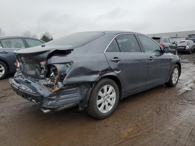 2009 Toyota Camry Hybrid