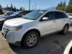 Ford Edge sel Vehiculos salvage en venta: 2011 Ford Edge SEL