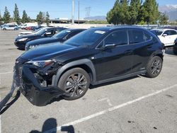 Salvage cars for sale from Copart Rancho Cucamonga, CA: 2020 Lexus UX 250H