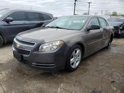 Salvage cars for sale at Chicago Heights, IL auction: 2010 Chevrolet Malibu LS