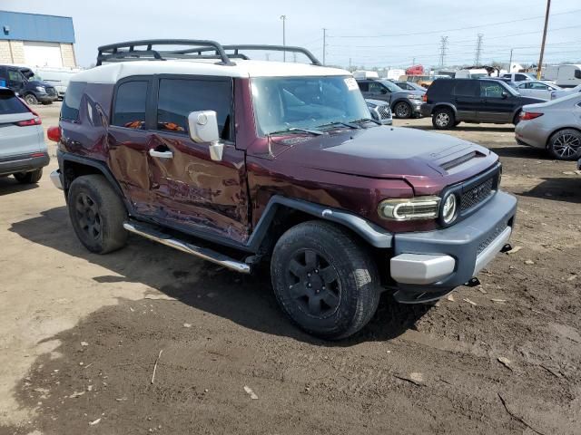 2007 Toyota FJ Cruiser