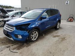 Salvage cars for sale from Copart Franklin, WI: 2019 Ford Escape SE