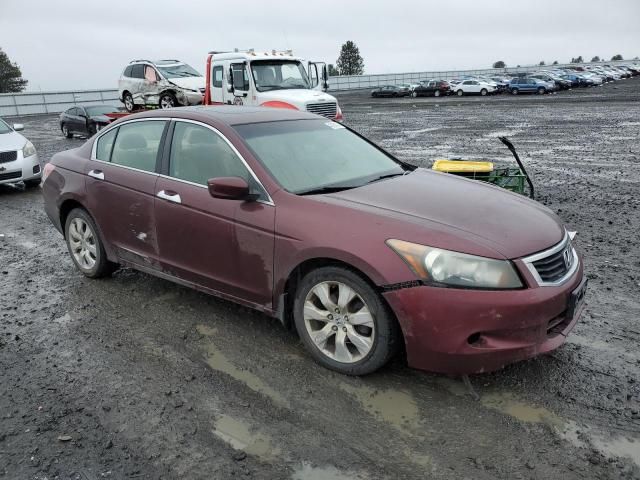 2008 Honda Accord EX