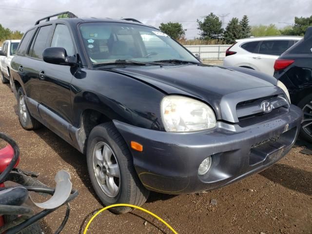 2005 Hyundai Santa FE GLS