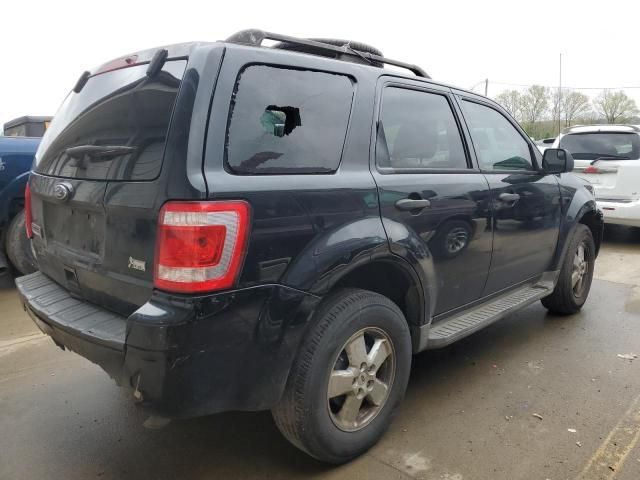 2010 Ford Escape XLT